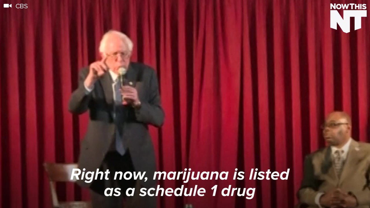 Bernie Sanders Say Federal Weed Laws Are "Dumb"