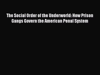 [PDF] The Social Order of the Underworld: How Prison Gangs Govern the American Penal System