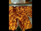 MBP C2 14 & Vetta for Dried Apricots