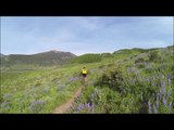 Crested Butte Lupine Trail