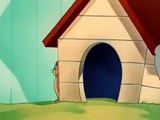 Tom and Jerry Cartoon - Framed Cat (1950)