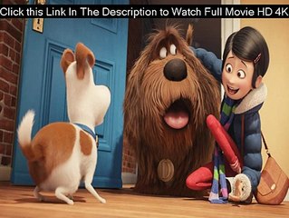 The Secret Life Of Pets Full Movie Streaming