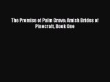 Download The Promise of Palm Grove: Amish Brides of Pinecraft Book One PDF Online