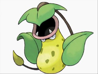 Shoop da whoop Victreebel / Empiflor