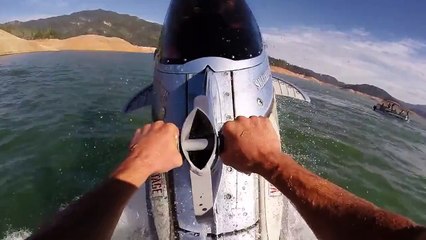 Robotic Dolphin and Flying Water Car