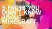 5 Facts You Didn't Know About Minecraft With TMM!