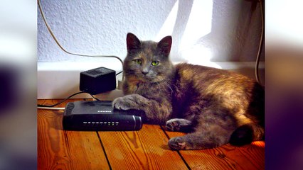 10 Laws You’ve Broken Without Realising