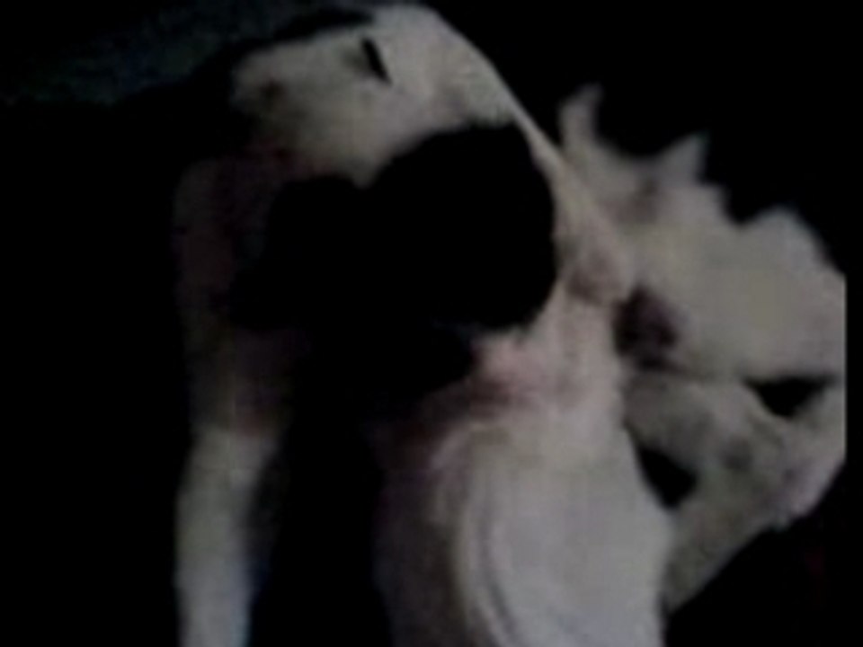 LILI et LILO se font un gros calin