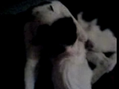 LILI et LILO se font un gros calin