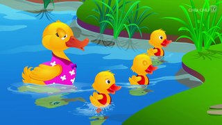 Five Little Ducks Nursery Rhyme With Lyrics - Cartoon Animation Rhymes & Songs for Children
