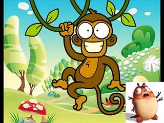 E "DEUS FEZ O BURRO, O CACHORRO, O MACACO E O HOMEM'. PARA REFLETIR...