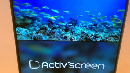 Radio Tongossa Salon POPAI et MPV