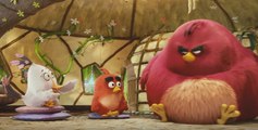 The Angry Birds Movie CLIP - Nice Chatting with You (2016) - Jason Sudeikis, Maya Rudolph Movie HD
