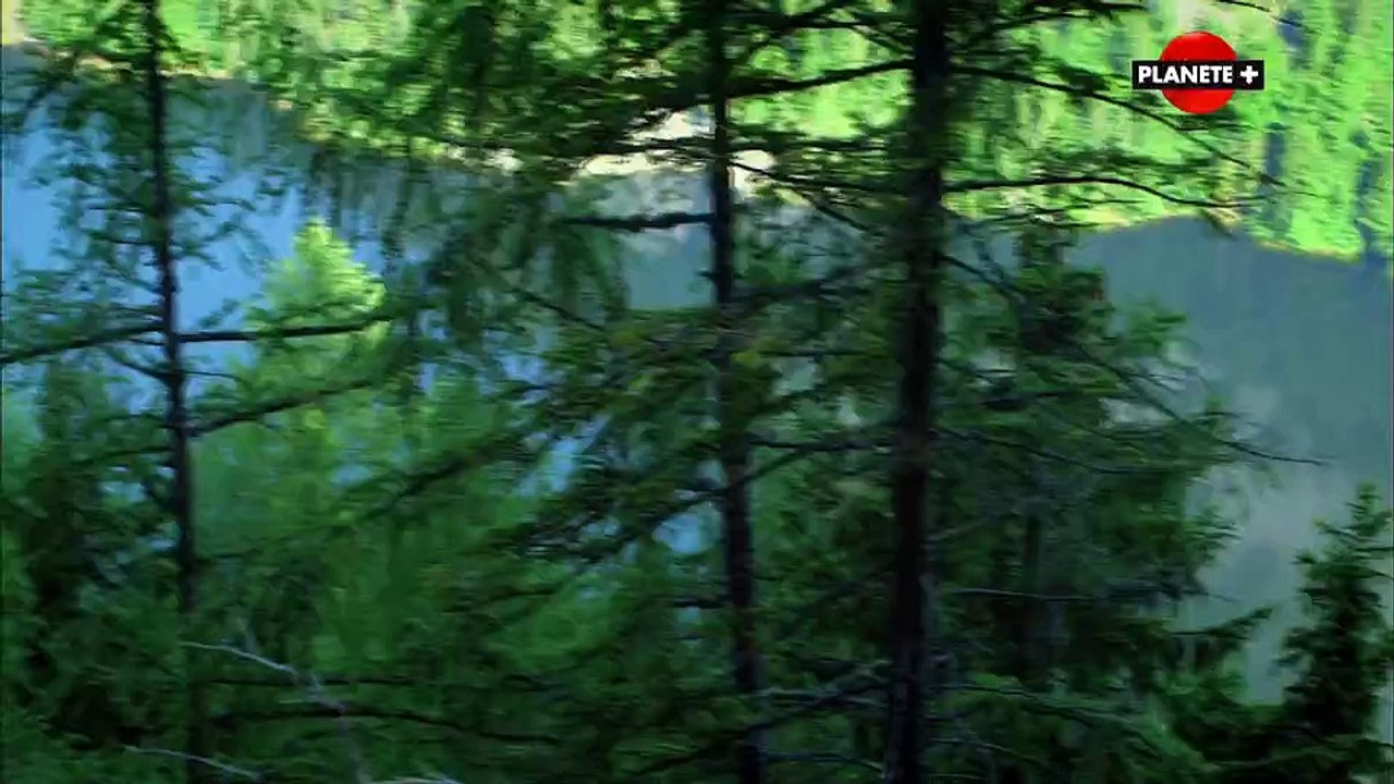 Chasseurs de legendes Le tresor englouti des nazis