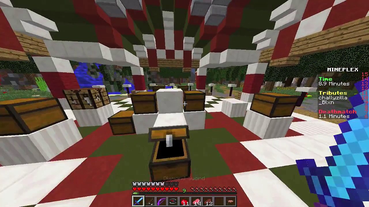 LAST MAN SHOW DOWN | Short Minecraft Hunger Games #52