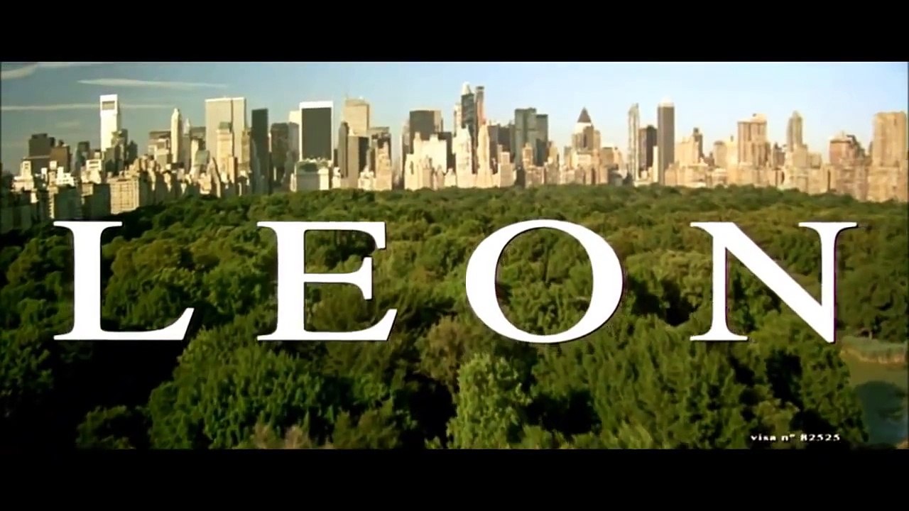 Leon The Professional - Shape Of My Heart - Sting (harmonica & guitar cover)