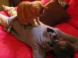 Mi Gato Es Un Experto En Masajes!! ★ humor gatos - video divertido gatos chistosos risa gato