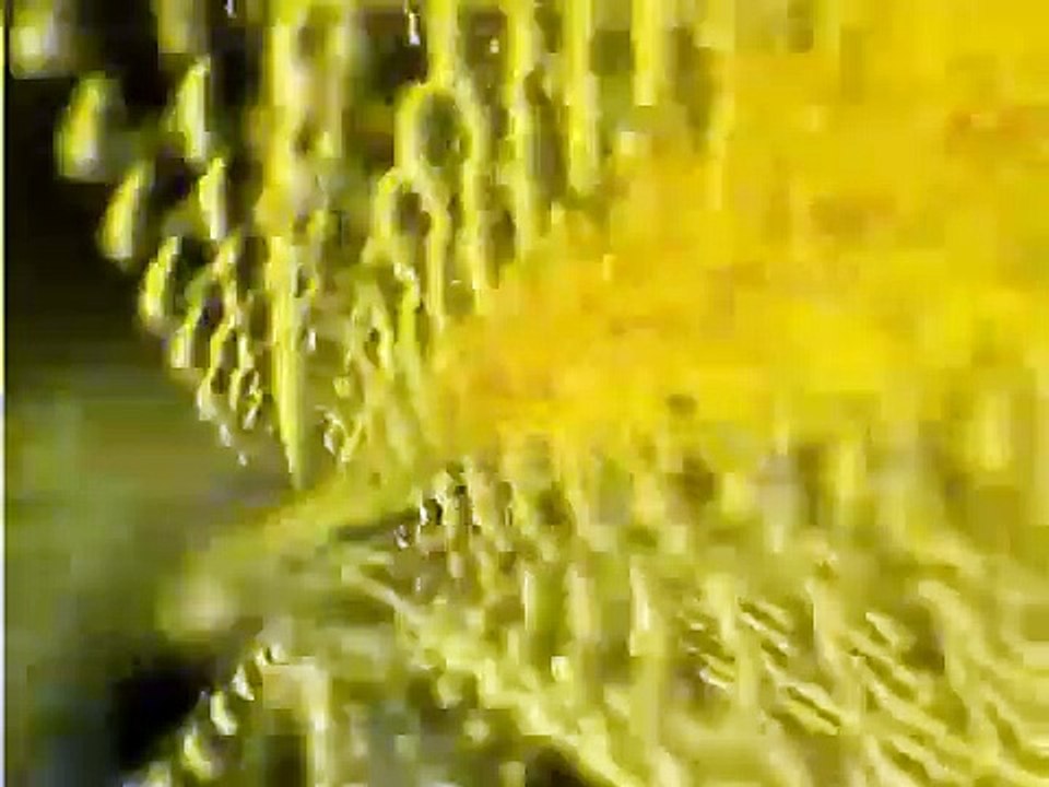 Progressive Rock Concert from MARTIGAN at Live Music Hall Cologne  Germany - 25th of March 1997 52