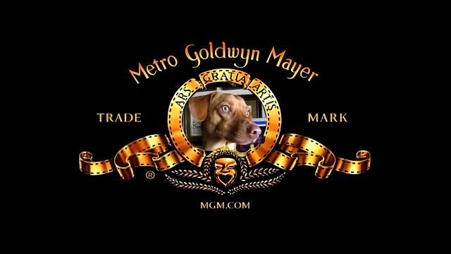 Rudy nel nuovo logo della Metro Goldwyn Mayer