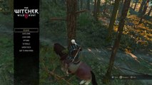 The Witcher 3: Wild Hunt -