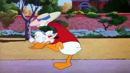 DONALD DUCK CARTOONS DONALD DUCK Deutsch & Chip n Dale CARTOON EPISODES NEW COMPILATION