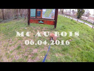 MC à Maison Laffitte