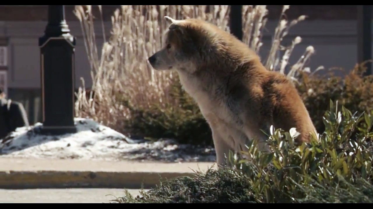 Хатико:Самый верный друг /Hachi: A Dog's Tale