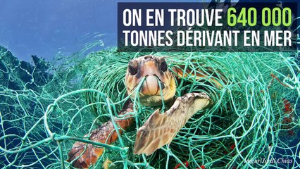 Une tortue de mer à la dérive dans les îles Canaries