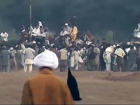 T.A.M.A.S.H.A Bull Race