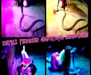 Esta cantante murió al ser mordida por una cobra durante un concierto