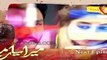 Mera Yaar Mila Day Episode 10 Promo - ARY Digital Drama -