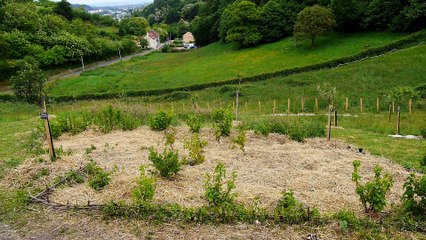 J'ai décidé de créer une ferme agro-écologique pour sensibiliser à de nouveaux modes de consommation (version unique)