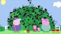 MLG Peppa Pig Gets Stuck In A Bush