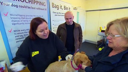 BBC1_The One Show 5Apr16 - dog microchipping law