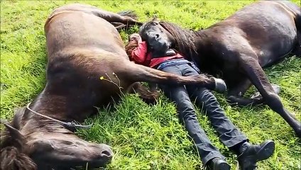 Cette Fille Se Couche Entre Ces Deux Chevaux... Ce Qui Se Passe Est Juste Magique !