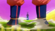 Goku shows all his super saiyan forms to beerus