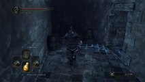 Dark Souls II - Ni de los barriles te puedes fiar