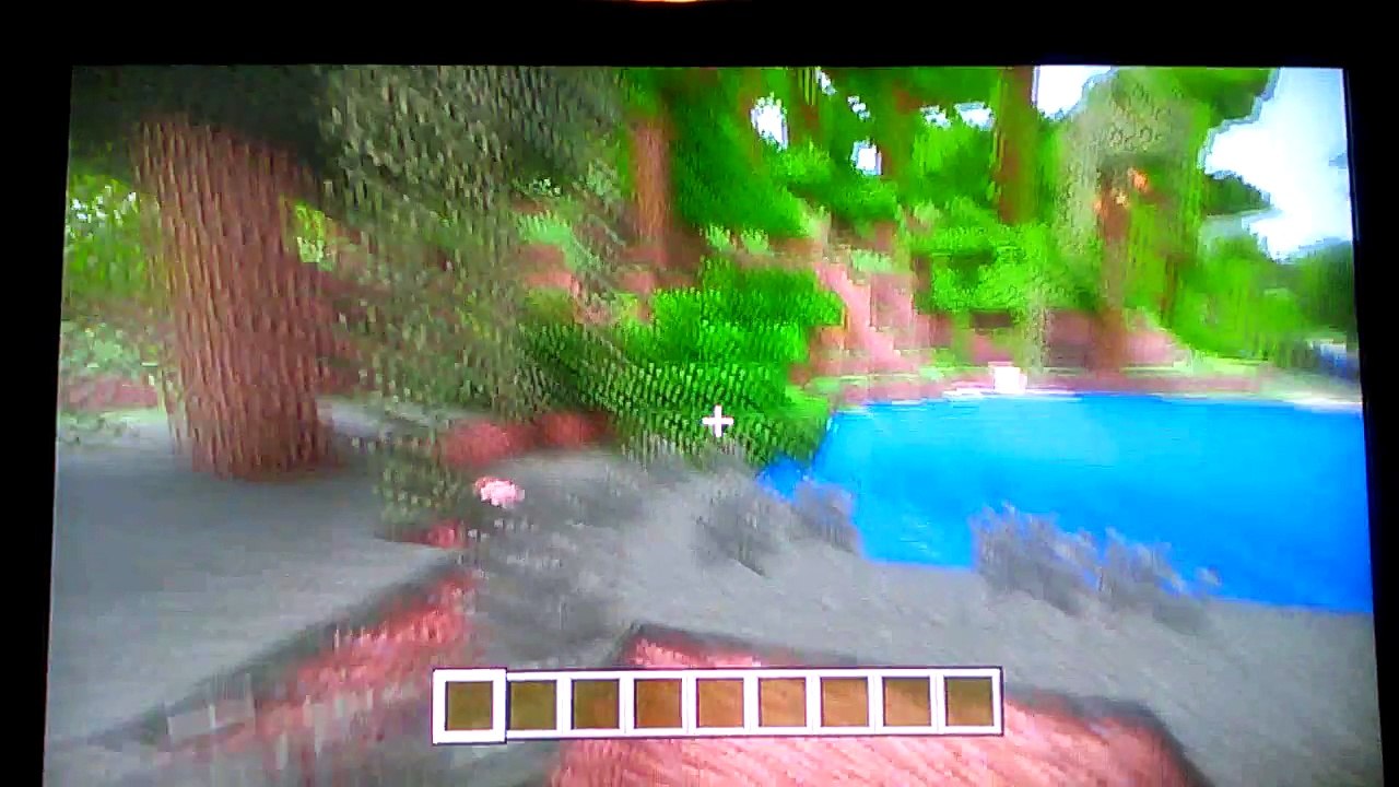 Minecraft Wii U best seed