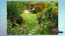 Tips on Installing Backyard Stepping Stones Pathway