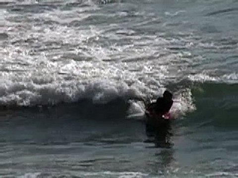 Proof of Sea Monster at Loch Ness???