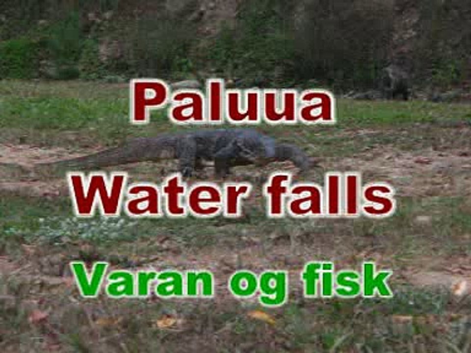 En varan