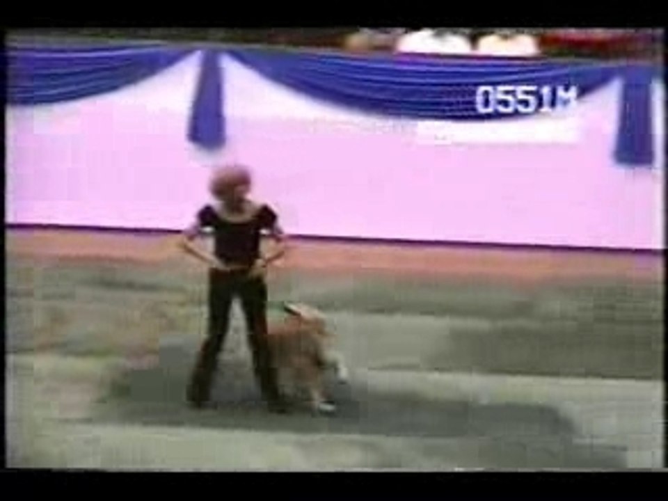 GREASE DOG