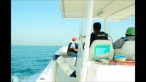 Fishing and Cruising at Arabian Sea Gulf, Dubai