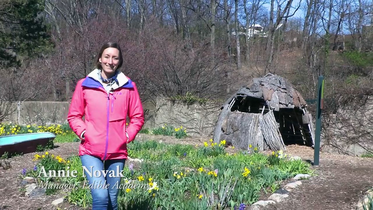 What’s New in the Family Garden: Wake Up, Garden!