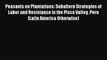 Read Peasants on Plantations: Subaltern Strategies of Labor and Resistance in the Pisco Valley