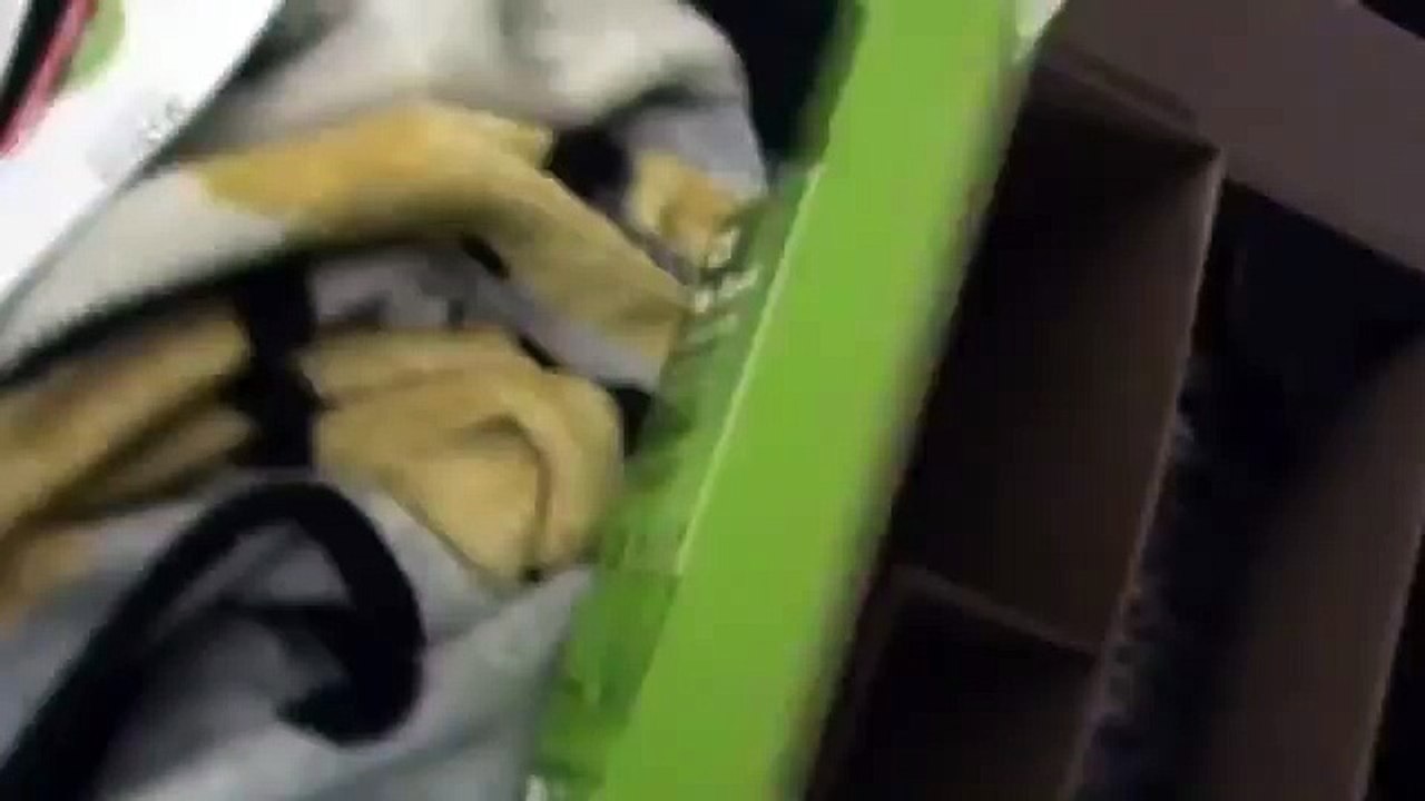 Western Digital My Book Essential 3TB Hard Drive Unboxing