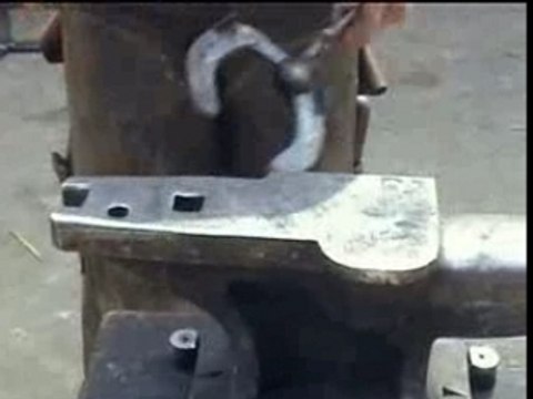 HORSES GET NEW SHOES