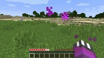 ENDERMAN MORPH | Minecraft 1.9 Only One Command Mod