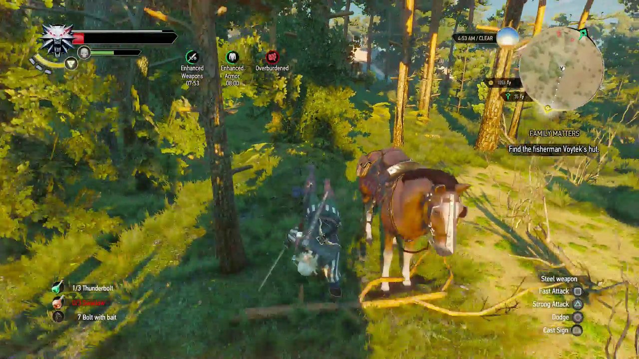 WITCHER 3 DEATH MARCH! WALKTHROUGH 49 - FAMILY MATTERS