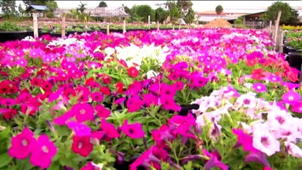 สนามเป้าเล่าข่าว   Wed พุธ   23  มีนาคม 2559 ตอน 3